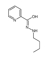 N'-butylpyridine-2-carbohydrazide结构式