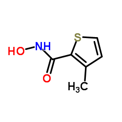 2-Thiophenecarboxamide,N-hydroxy-3-methyl-(9CI)结构式