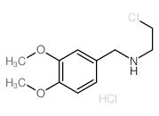 2-chloro-N-[(3,4-dimethoxyphenyl)methyl]ethanamine结构式