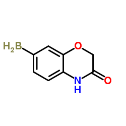 7-Boryl-2H-1,4-benzoxazin-3(4H)-one结构式