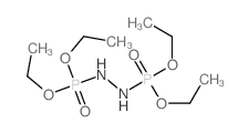 Phosphorohydrazidicacid, 2-(diethoxyphosphinyl)-, diethyl ester (9CI) Structure
