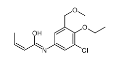 N-[3-chloro-4-ethoxy-5-(methoxymethyl)phenyl]but-2-enamide结构式