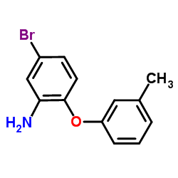 5-Bromo-2-(3-methylphenoxy)aniline结构式