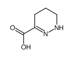 1,4,5,6-Tetrahydro-pyridazine-3-carboxylic acid Structure