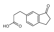 3-(3-oxo-1,2-dihydroinden-5-yl)propanoic acid Structure