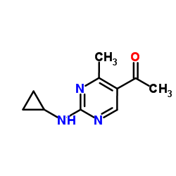 1-[2-(Cyclopropylamino)-4-methylpyrimidin-5-yl]ethanone picture
