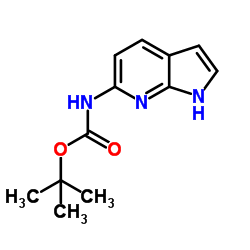 2-Methyl-2-propanyl 1H-pyrrolo[2,3-b]pyridin-6-ylcarbamate Structure