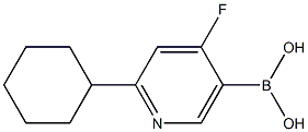 4-Fluoro-2-(cyclohexyl)pyridine-5-boronic acid图片