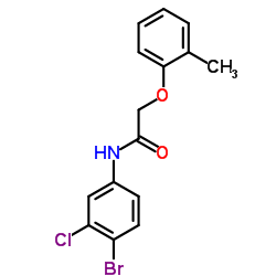 N-(4-Bromo-3-chlorophenyl)-2-(2-methylphenoxy)acetamide结构式