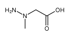 1-methylhydrazinoacetic acid Structure