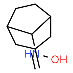 Bicyclo[3.2.1]octan-8-amine, N-hydroxy-3-methylene-, (8-syn)- (9CI) structure