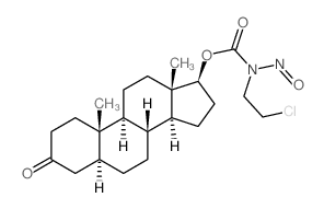 [(5S,8R,9S,10S,13S,14S,17S)-10,13-dimethyl-3-oxo-1,2,4,5,6,7,8,9,11,12,14,15,16,17-tetradecahydrocyclopenta[a]phenanthren-17-yl] N-(2-chloroethyl)-N-nitroso-carbamate Structure