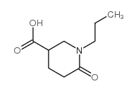 6-oxo-1-propylpiperidine-3-carboxylic acid Structure