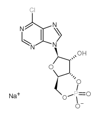 6-CHLOROPURINE RIBOSIDE-3',5'-CYCLIC MONOPHOSPHATE SODIUM SALT picture