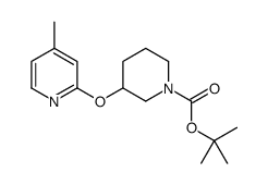 3-(4-Methyl-pyridin-2-yloxy)-piperidine-1-carboxylicacidtert-butylester picture