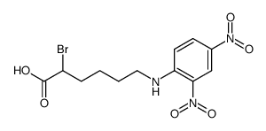 2-bromo-6-(2,4-dinitro-anilino)-hexanoic acid Structure