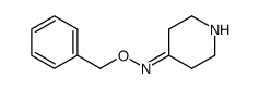 piperidin-4-one O-benzyl oxime Structure