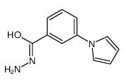 3-pyrrol-1-ylbenzohydrazide structure