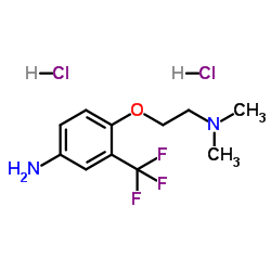 4-[2-(Dimethylamino)ethoxy]-3-(trifluoromethyl)aniline dihydrochloride Structure