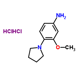 3-Methoxy-4-pyrrolidinoaniline Dihydrochloride picture