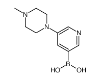 [5-(4-methylpiperazin-1-yl)pyridin-3-yl]boronic acid Structure