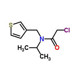 2-Chloro-N-isopropyl-N-(3-thienylmethyl)acetamide结构式