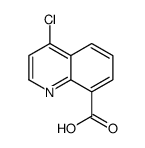 4-chloroquinoline-8-carboxylic acid Structure