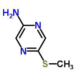 Pyrazinamine,5-(methylthio)-(9Cl) Structure