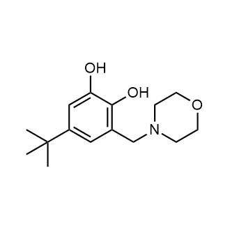 5-(Tert-butyl)-3-(morpholinomethyl)benzene-1,2-diol Structure