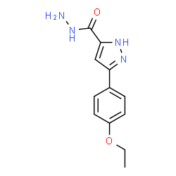 3-(4-Ethoxyphenyl)-1H-pyrazole-5-carbohydrazide结构式