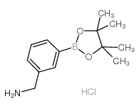 (3-(4,4,5,5-Tetramethyl-1,3,2-dioxaborolan-2-yl)phenyl)methanamine hydrochloride picture