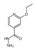 4-Pyridinecarboxylicacid,2-ethoxy-,hydrazide(9CI) structure