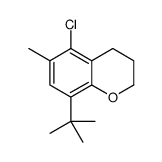 8-tert-butyl-5-chloro-6-methyl-3,4-dihydro-2H-chromene Structure