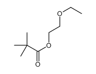 2-ethoxyethyl 2,2-dimethylpropanoate Structure
