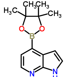 4-(4,4,5,5-Tetramethyl-1,3,2-dioxaborolan-2-yl)-1H-pyrrolo[2,3-b]pyridine picture