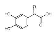 4,8-dihydroxyquinoline picture