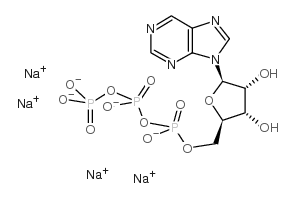 Purine riboside triphosphate structure