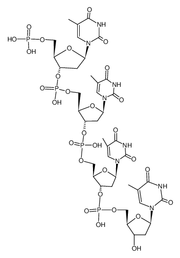 5'-phosphorylated DNA fragment pTp(Tp)2T Structure