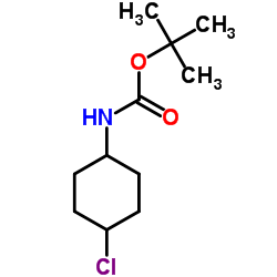 2-Methyl-2-propanyl (4-chlorocyclohexyl)carbamate结构式