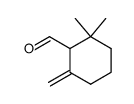 (+/-)-γ-cyclogeranial Structure