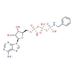 ATP gamma-benzylamide结构式