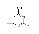 (1S,6R)-3,5-diazabicyclo[4.2.0]octane-2,4-dione Structure