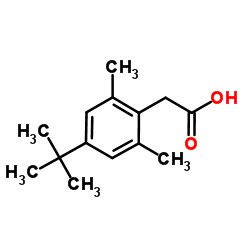 [2,6-Dimethyl-4-(2-methyl-2-propanyl)phenyl]acetic acid picture