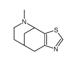4,8-Methanothiazolo[5,4-c]azocine, 4,5,6,7,8,9-hexahydro-5-methyl Structure