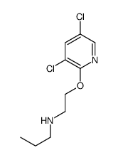 N-[2-(3,5-dichloropyridin-2-yl)oxyethyl]propan-1-amine Structure