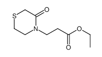 ethyl 3-(3-oxothiomorpholin-4-yl)propanoate结构式