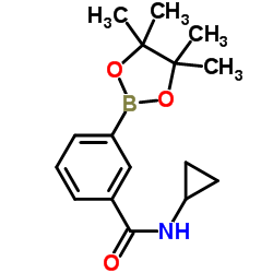 3-(Cyclopropylaminocarbonyl)phenylboronic acid, pinacol ester Structure