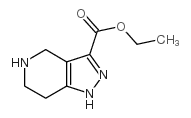 4,5,6,7-Tetrahydro-1H-pyrazolo[4,3-c]pyridine-3-carboxylic acid ethyl ester picture