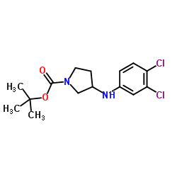 2-Methyl-2-propanyl 3-[(3,4-dichlorophenyl)amino]-1-pyrrolidinecarboxylate结构式