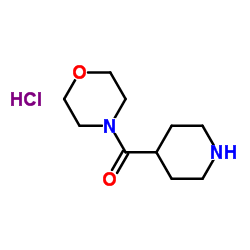 Morpholino(piperidin-4-yl)methanone hydrochloride Structure